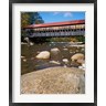 Charles Gurche / Danita Delimont - Albany Covered Bridge, Swift River, White Mountain National Forest, New Hampshire (R899366-AEAEAGOFDM)
