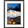 Jerry & Marcy Monkman / Danita Delimont - Maple Leaves and Wadleigh Falls on the Lamprey River, New Hampshire (R899396-AEAEAGOFDM)