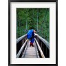 Jerry & Marcy Monkman / Danita Delimont - Hikers on a Footbridge Across Pemigewasset River, New Hampshire (R899431-AEAEAGOFDM)