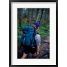 Jerry & Marcy Monkman / Danita Delimont - Backpacking on Franconia Ridge Trail, Boreal Forest, New Hampshire (R899435-AEAEAGOFDM)