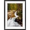 Michel Hersen / Danita Delimont - Pemigewasset River in Franconia Notch State Park, New Hampshire (R899703-AEAEAGOFDM)