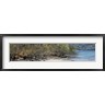 Panoramic Images - View of Trees on the Beach, Liberia, Guanacaste, Costa Rica (R899915-AEAEAGOFDM)