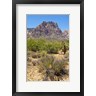 Panoramic Images - Red Rock Canyon National Conservation Area, Las Vegas, Nevada (R899995-AEAEAGOFDM)