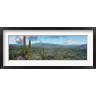 Panoramic Images - Cardon Cactus, Baja California Sur, Mexico (R900843-AEAEAGOFDM)