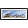 Panoramic Images - Bird Rock, La Jolla, San Diego, California (R900848-AEAEAGOFDM)