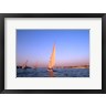 Bill Bachmann / Danita Delimont - Beautiful Sailboats Riding Along the Nile River, Cairo, Egypt (R901666-AEAEAGOFDM)