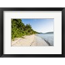 Michael Runkel / DanitaDelimont - White sandy beach, Fiji (R901764-AEAEAGOFDM)