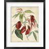 Edmonston & Douglas - Tropical Floral I (R917688-AEAEAGOFLM)