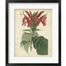 Edmonston & Douglas - Tropical Floral V (R917692-AEAEAGOFLM)