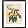 Edmonston & Douglas - Tropical Floral VI (R917693-AEAEAGOFLM)