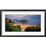 Panoramic Images - Village at the Waterfront, Sala Comacina, Lake Como, Como, Lombardy, Italy (R938441-AEAEAGOFDM)