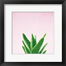 Felicity Bradley - Succulent Simplicity V on Pink (R941485-AEAEAGOEDM)