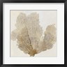 PI Galerie - Gold Coral II (R949802-AEAEAGOFDM)