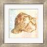 Beth Grove - Golden Treasures III (R951859-AEAEAGMFEY)