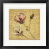 Cheri Blum - Magnolia Blossom on Gold (R951934-AEAEAGOEDM)
