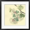 Chris Paschke - Gingko Leaves II (R952084-AEAEAGOFDM)