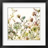 Wild Apple Portfolio - Transparent Garden Warm (R954979-AEAEAGOFDM)