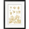 Wild Apple Portfolio - Golden Rhododendron on White (R956708-AEAEAGOFDM)