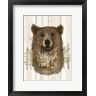 Ed Wargo - Bear Wilderness Portrait (R958927-AEAEAGOFDM)