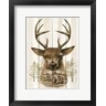 Ed Wargo - Deer Wilderness Portrait (R958928-AEAEAGOFDM)
