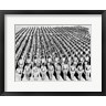 Vintage PI - 1940s Wwii Large Formation U.S. Army Infantry Soldiers (R961187-AEAEAGOFDM)