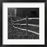 Chip Forelli - Barn Fence (R965507-AEAEAGOFDM)