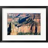 Panoramic Images - North and South Rims, Grand Canyon, Arizona (R972138-AEAEAGOFDM)