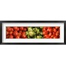 Panoramic Images - Close-up of Assorted Tomatoes (R972186-AEAEAGOFDM)