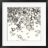 Chris Paschke - Bubbles IV (R972675-AEAEAGOFDM)