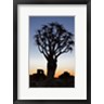 Ellen Goff / Danita Delimont - Quiver Tree Forest, Kokerboom at Sunset, Keetmanshoop, Namibia (R977209-AEAEAGOFDM)