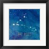 Cynthia Coulter - Star Sign Pisces (R977812-AEAEAGOEDM)