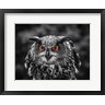 Duncan - Red Eyed Owl - Black & White (R979918-AEAEAGOFDM)