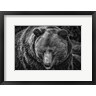 Duncan - The Grizzly Black & White (R981897-AEAEAGOFDM)