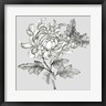Eva Watts - Grey Botanical II (R984191-AEAEAGOFDM)