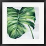Eva Watts - Tropical Leaf II (R984202-AEAEAGOFDM)