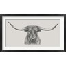 Ethan Harper - Longhorn Bull (R986611-AEAEAGOFDM)