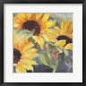 Sandra Iafrate - Sunflowers in Watercolor II (R986741-AEAEAGOFDM)