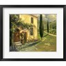 Allayn Stevens - Scenic Italy I (R988273-AEAEAGOFDM)