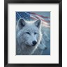 Collin Bogle - Arctic Wolves America (R995238-AEAEAGOFDM)