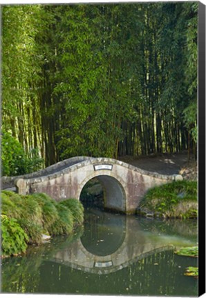 Framed Chinese Scholar&#39;s Garden, North Island, New Zealand Print