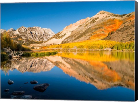 Framed California, Eastern Sierra, Fall Color Reflected In North Lake Print