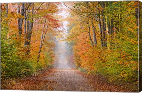 Framed Autumn Road In Schoolcraft County, Michigan Print