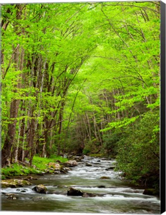 Framed Straight Fork River, North Carolina Print