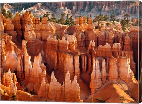 Framed Morning Light On The Hoodoos Of Bryce Canyon National Park Print