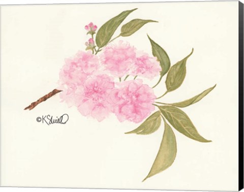 Framed Bashful Blossoms Print