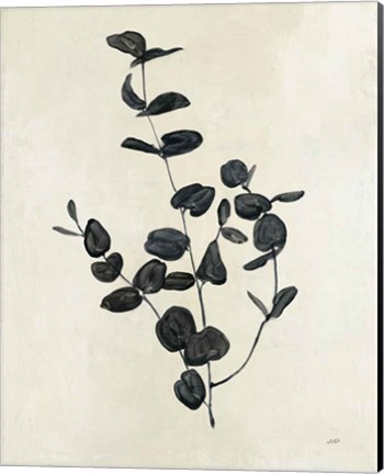 Framed Botanical Study II Print