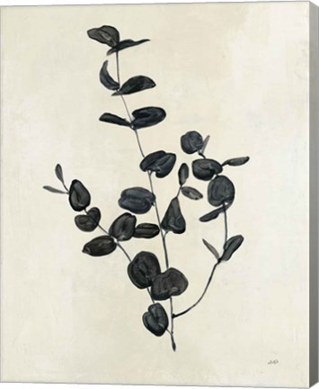 Framed Botanical Study II Print