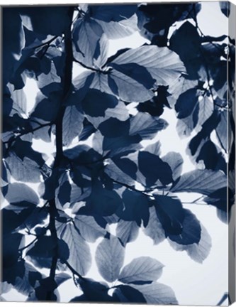 Framed Indigo Leaves Print