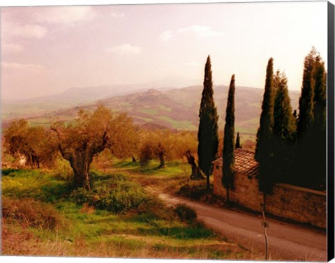 Framed Toscana, Italia No. 709 Print