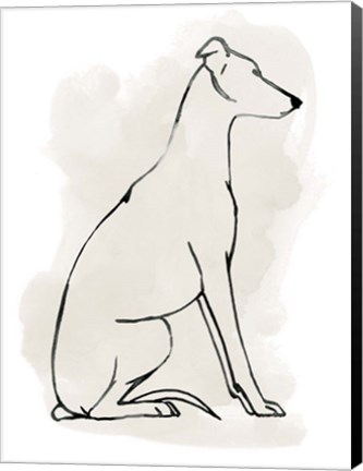 Framed Greyhound Sketch I Print